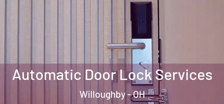 Automatic Door Lock Services Willoughby - OH