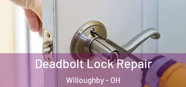 Deadbolt Lock Repair Willoughby - OH