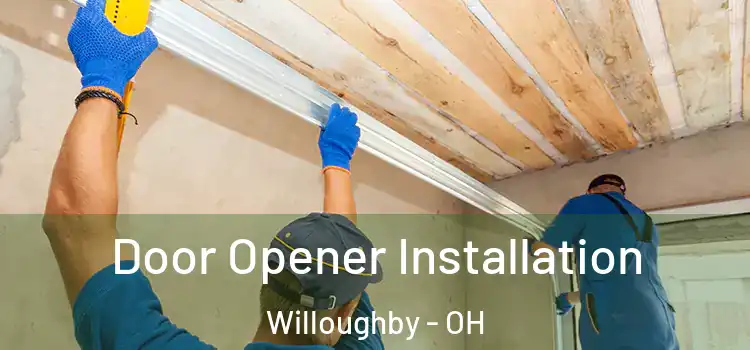Door Opener Installation Willoughby - OH