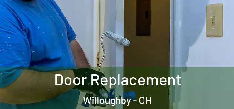 Door Replacement Willoughby - OH