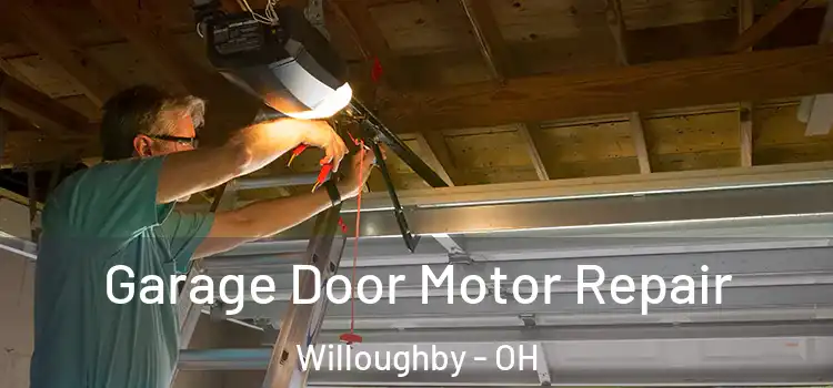  Garage Door Motor Repair Willoughby - OH