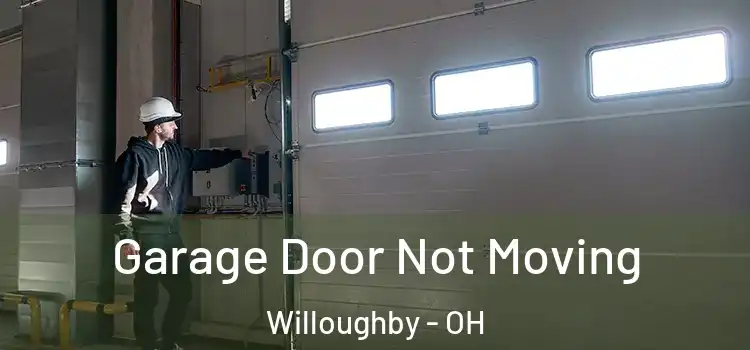  Garage Door Not Moving Willoughby - OH