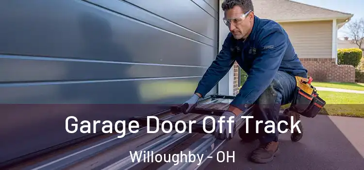 Garage Door Off Track Willoughby - OH