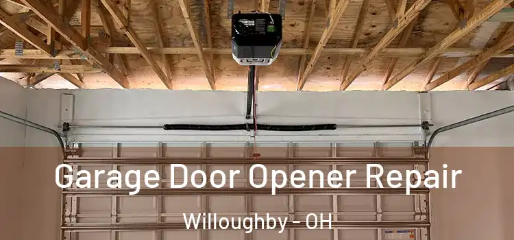  Garage Door Opener Repair Willoughby - OH
