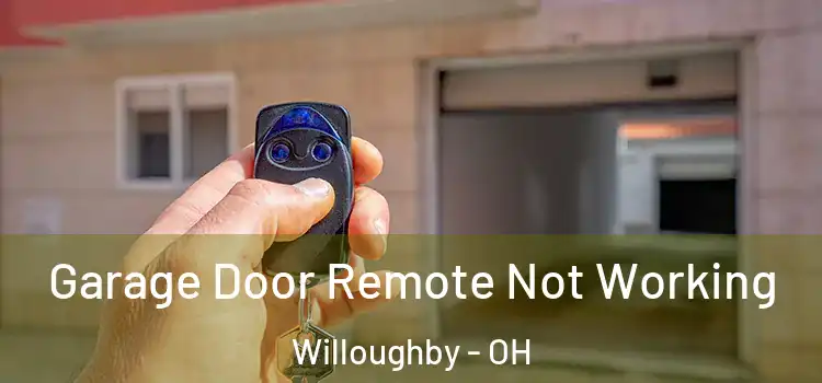  Garage Door Remote Not Working Willoughby - OH