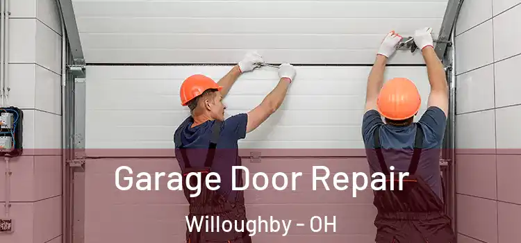  Garage Door Repair Willoughby - OH