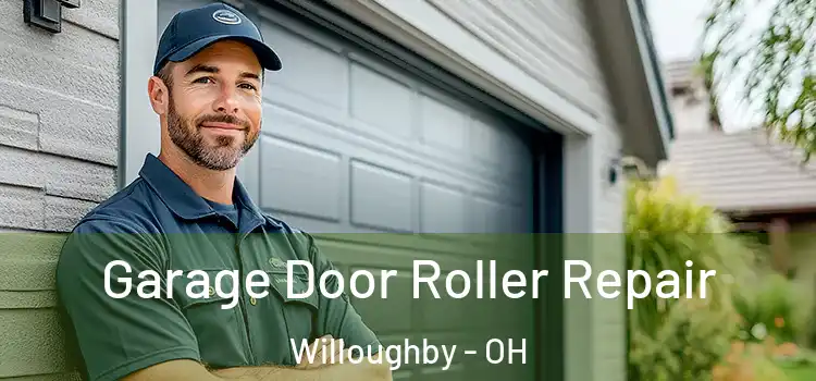  Garage Door Roller Repair Willoughby - OH