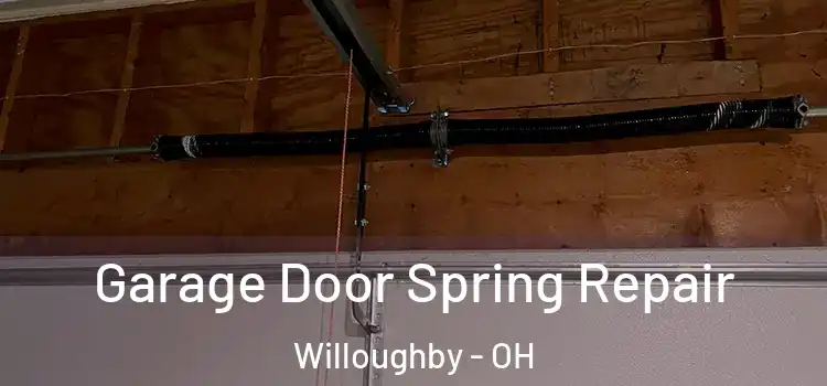  Garage Door Spring Repair Willoughby - OH