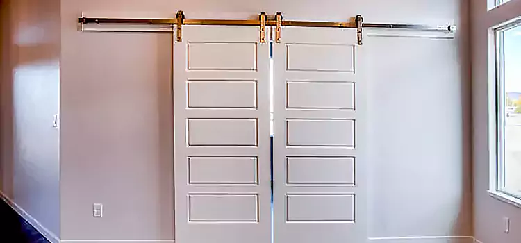 Glass Barn Door with Installation Hardware Kit Willoughby
