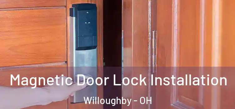  Magnetic Door Lock Installation Willoughby - OH