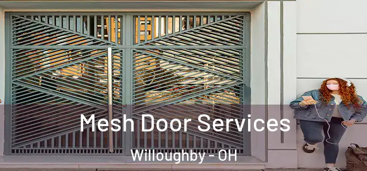 Mesh Door Services Willoughby - OH