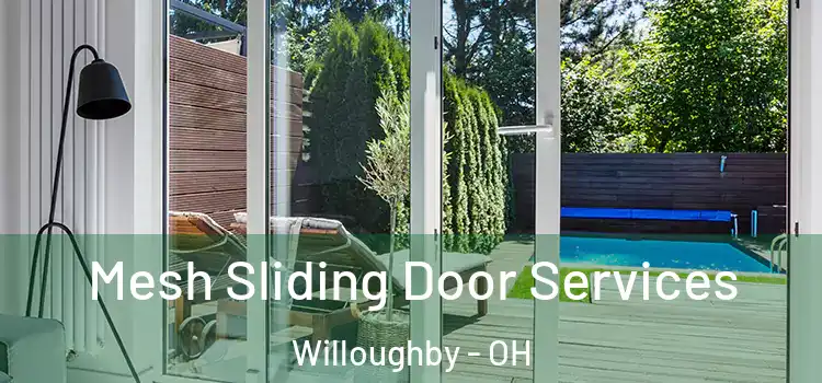 Mesh Sliding Door Services Willoughby - OH