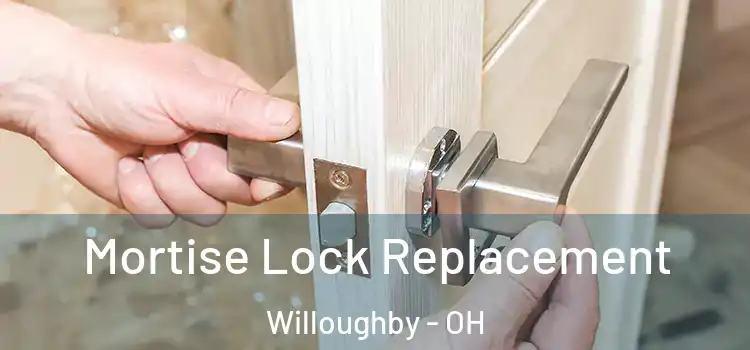 Mortise Lock Replacement Willoughby - OH