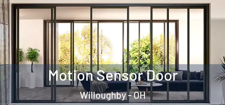 Motion Sensor Door Willoughby - OH