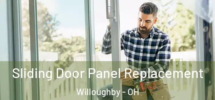  Sliding Door Panel Replacement Willoughby - OH