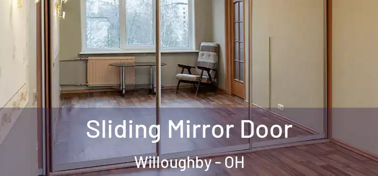  Sliding Mirror Door Willoughby - OH